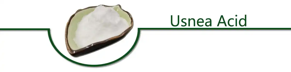 Usnea Acid powder.jpg